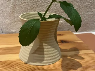 Modern Vase