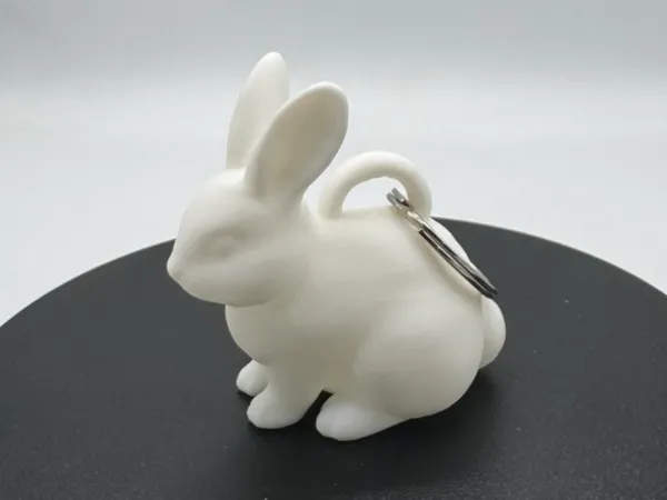 https://makerworld.bblmw.com/makerworld/model/USf11dcd0cefc673/design/2025-07-19_6dd250c6f2cfc8.jpeg