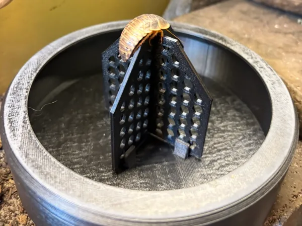 https://makerworld.bblmw.com/makerworld/model/USf1239241f81833/design/2025-12-31_76e7e32149df68.jpg