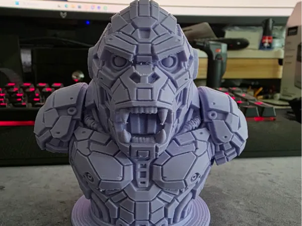 https://makerworld.bblmw.com/makerworld/model/USf12f2858e1b513/design/2025-07-16_0786c74676653.jpg