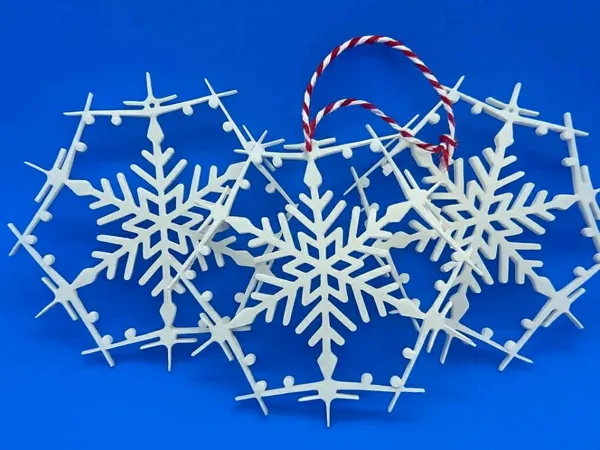 https://makerworld.bblmw.com/makerworld/model/USf12fc8649b1973/design/2025-10-24_dc9987d6742658.jpeg