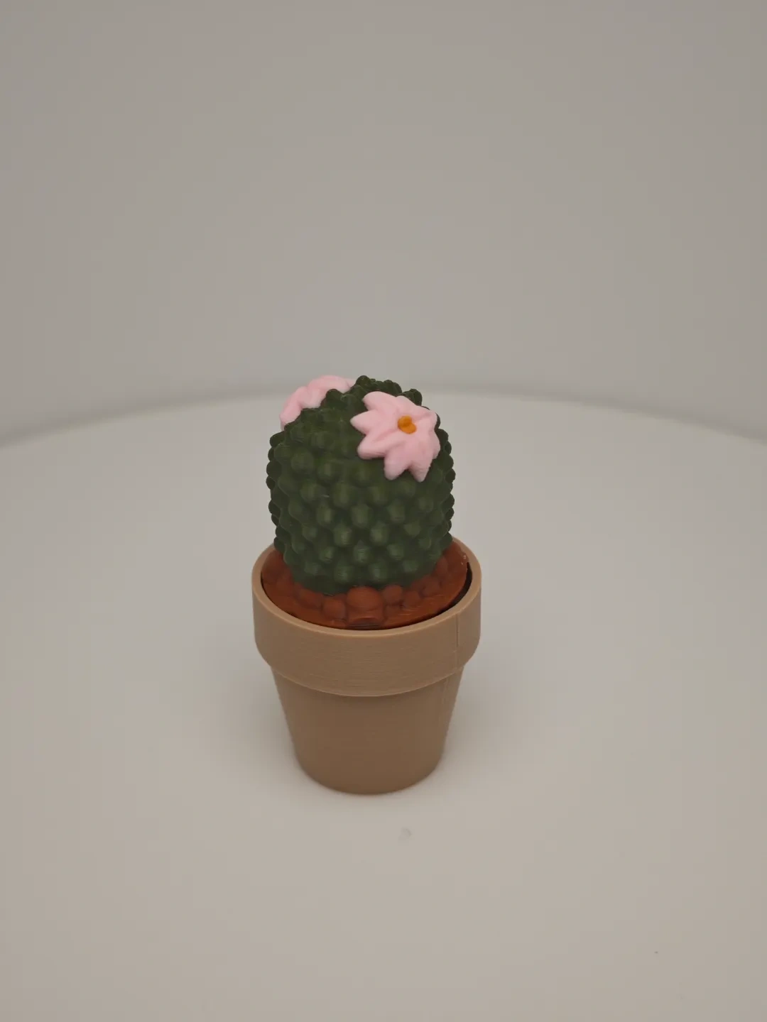 Miniatura 5 do modelo 3D 盆栽解压玩具设计：仙人掌与仙人球