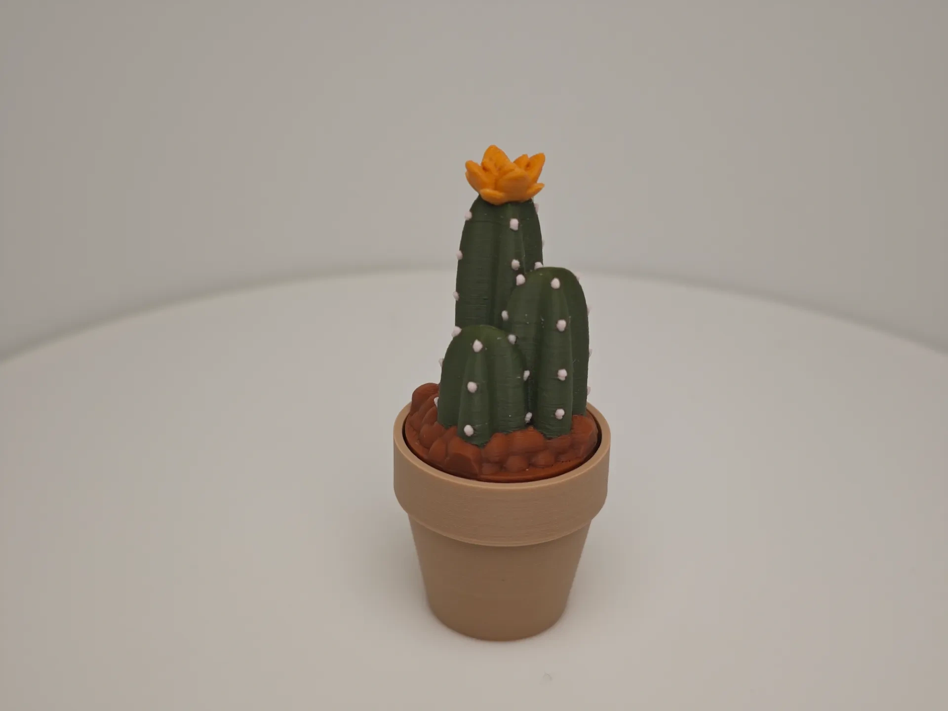 Miniatura 4 do modelo 3D 盆栽解压玩具设计：仙人掌与仙人球