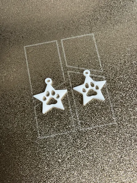 Star with Paw Print Earrings view 3