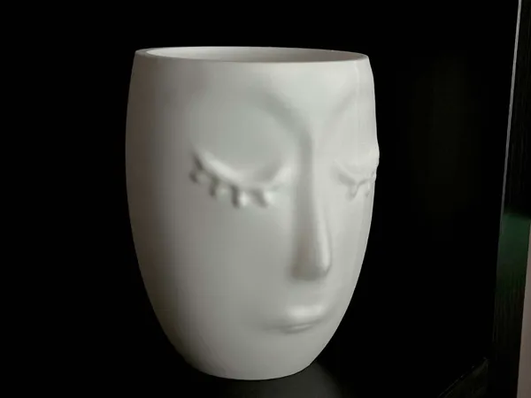 https://makerworld.bblmw.com/makerworld/model/USf136f2906d1609/design/2025-03-01_255d0a82ab8208.jpg