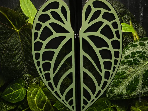 https://makerworld.bblmw.com/makerworld/model/USf13b22dd3367c6/design/26b050c06d0be611.png