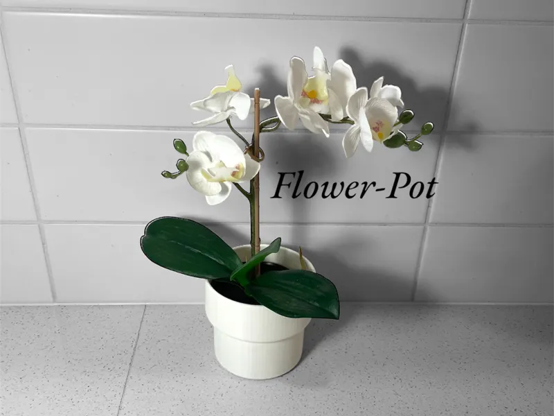 Flower Pot 