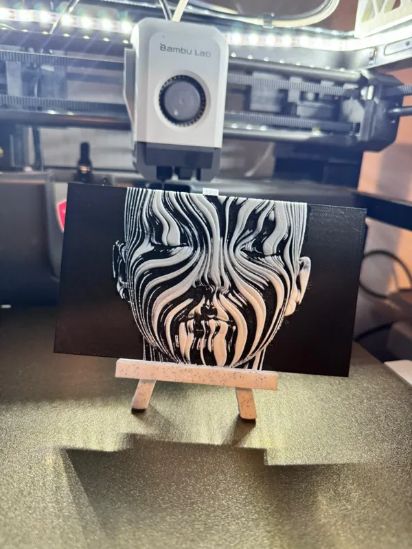 https://makerworld.bblmw.com/makerworld/model/USf142c7944dee3b/design/2024-01-24_3ed960a105eb9.jpg