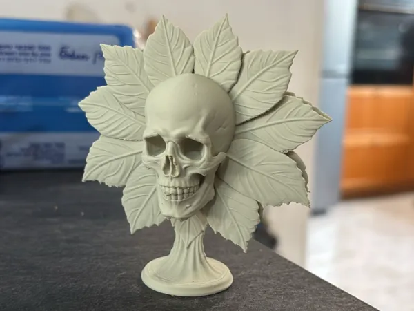 https://makerworld.bblmw.com/makerworld/model/USf14824091960c5/design/2025-11-06_08c9f4381734b.jpeg