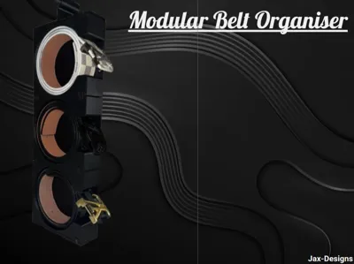 Modular Belt Organiser