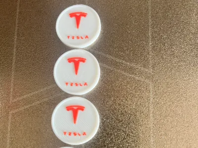 Tesla Shopping Chip