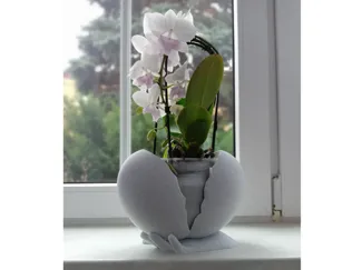exotic heart plant pot