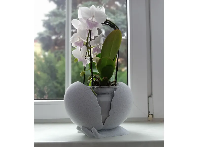 exotic heart plant pot
