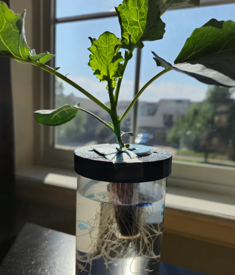 Hydroponics Net Cup 3in Bottle Adapter