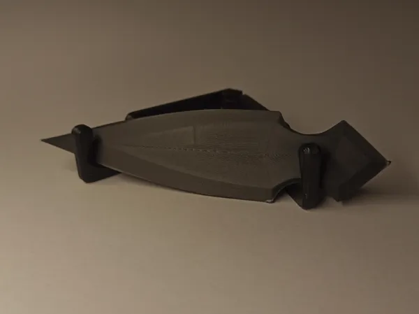 https://makerworld.bblmw.com/makerworld/model/USf152bff2f6ee1/design/2025-01-09_36bd6f3b3faef.jpg
