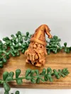 gnome