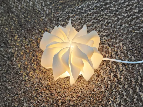 https://makerworld.bblmw.com/makerworld/model/USf15aa0f2d770e6/design/823140c884756ae9.jpg