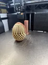 Egg 2 Colors H2D&H2C