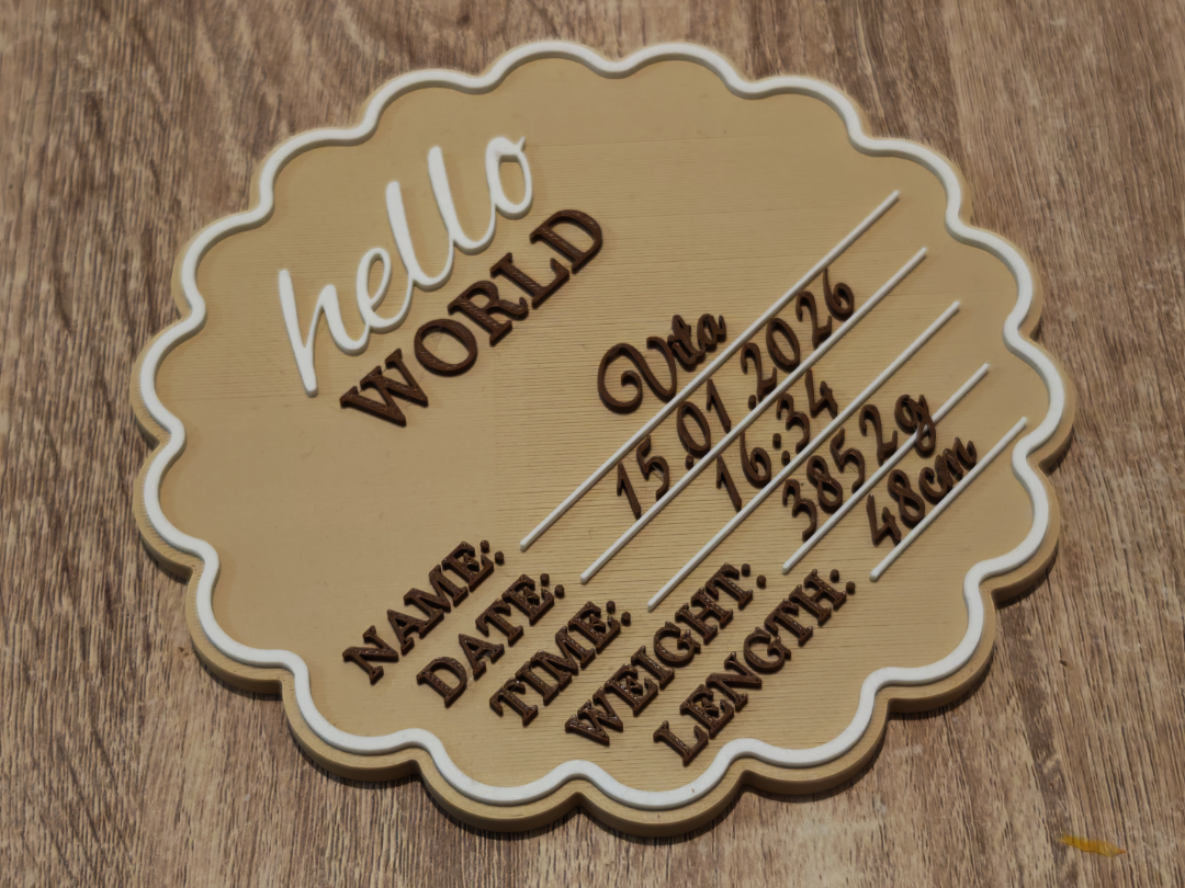 Hello World Baby Birth Announcement Sign