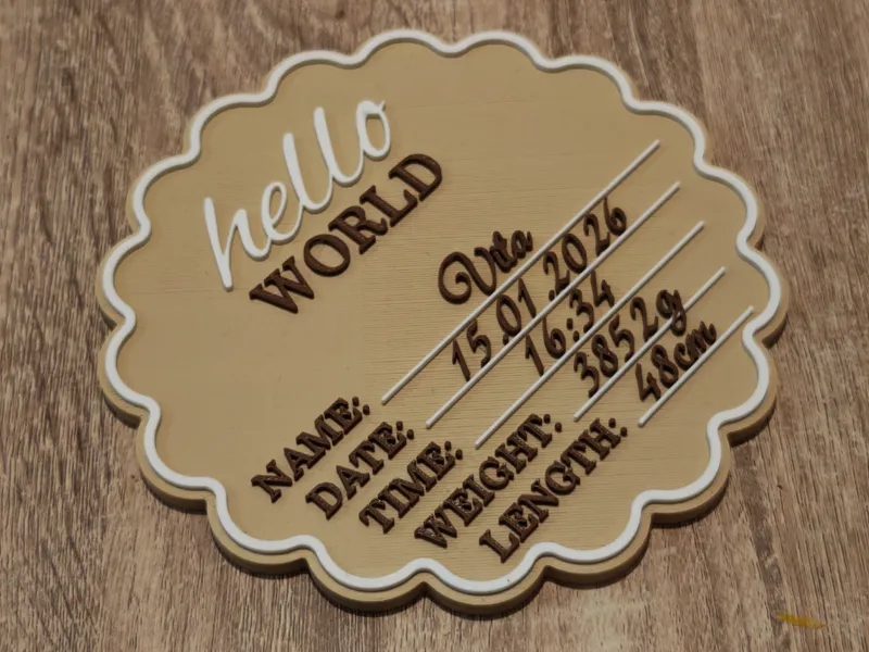 Hello World Baby Birth Announcement Sign