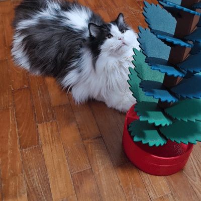 https://makerworld.bblmw.com/makerworld/model/USf1613b63883b5f/design/2026-01-03_aaf93d1bc23638.gif