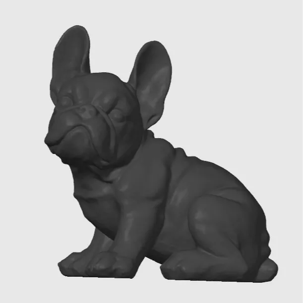 Französische Bulldogge