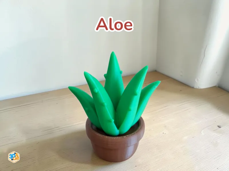 Aloe