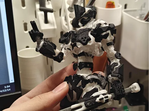 https://makerworld.bblmw.com/makerworld/model/USf169d099b7ff26/design/2024-12-14_13024b520f591.jpg