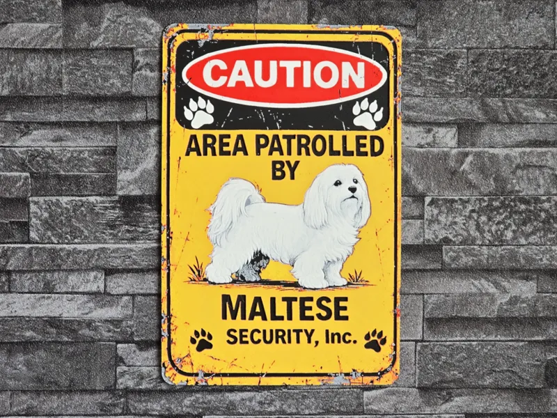 Hueforge CAUTION Maltese