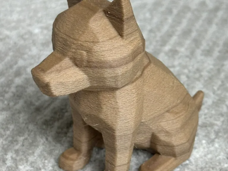 Minimalist and edgy dog