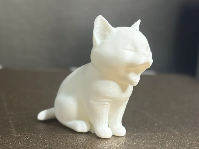 Cute Yawning Cat