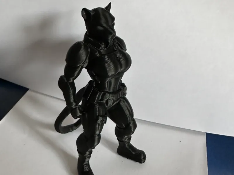 Pantherlady Steel Paw