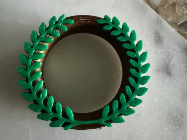 https://makerworld.bblmw.com/makerworld/model/USf178c266c63ed1/design/2025-11-17_82341b1f719c68.jpeg