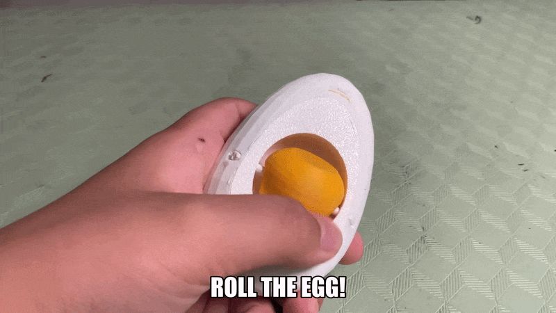 Rolling Egg Fidget