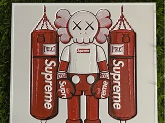 Kaws Supreme Hueforge