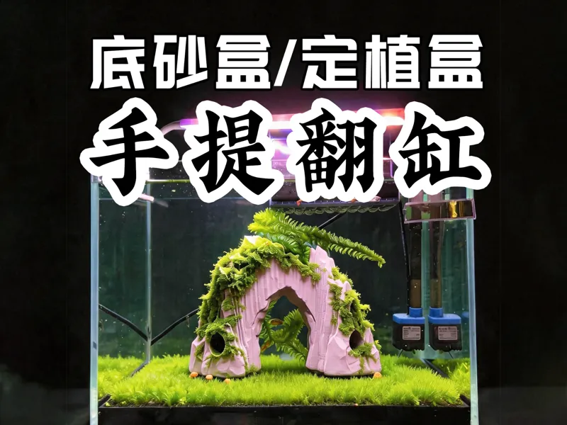 【拱形山】40 缸一体化便携鱼缸造景|整体草坪底板 “整块底砂” 翻缸/种草都简单|拓竹P2S实测