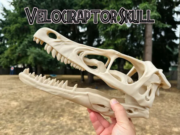 https://makerworld.bblmw.com/makerworld/model/USf180105e105ef9/design/2025-08-06_db5744913c29a8.jpg