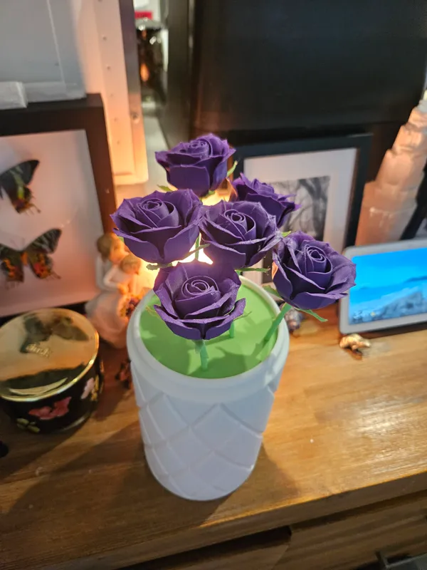 https://makerworld.bblmw.com/makerworld/model/USf1814ca78c8c44/design/2024-03-29_6678fc3f0b3b8.jpg
