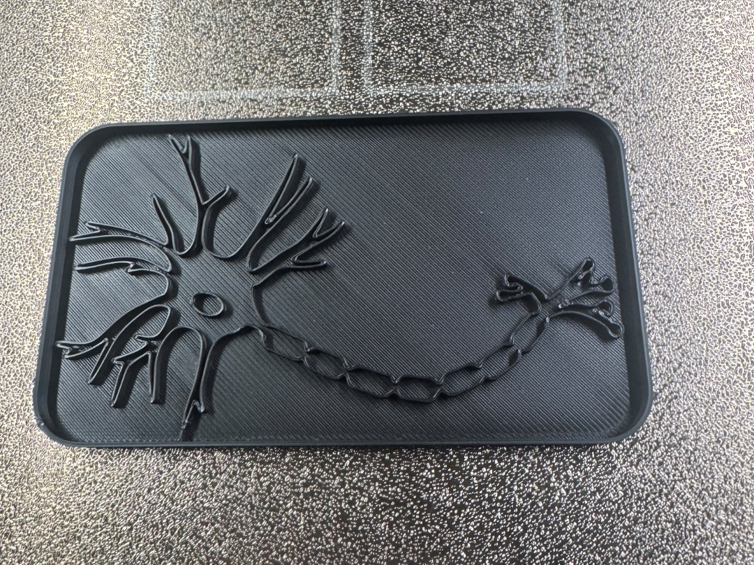 Anatomical Brain Neuron Cell Cookie Cutter