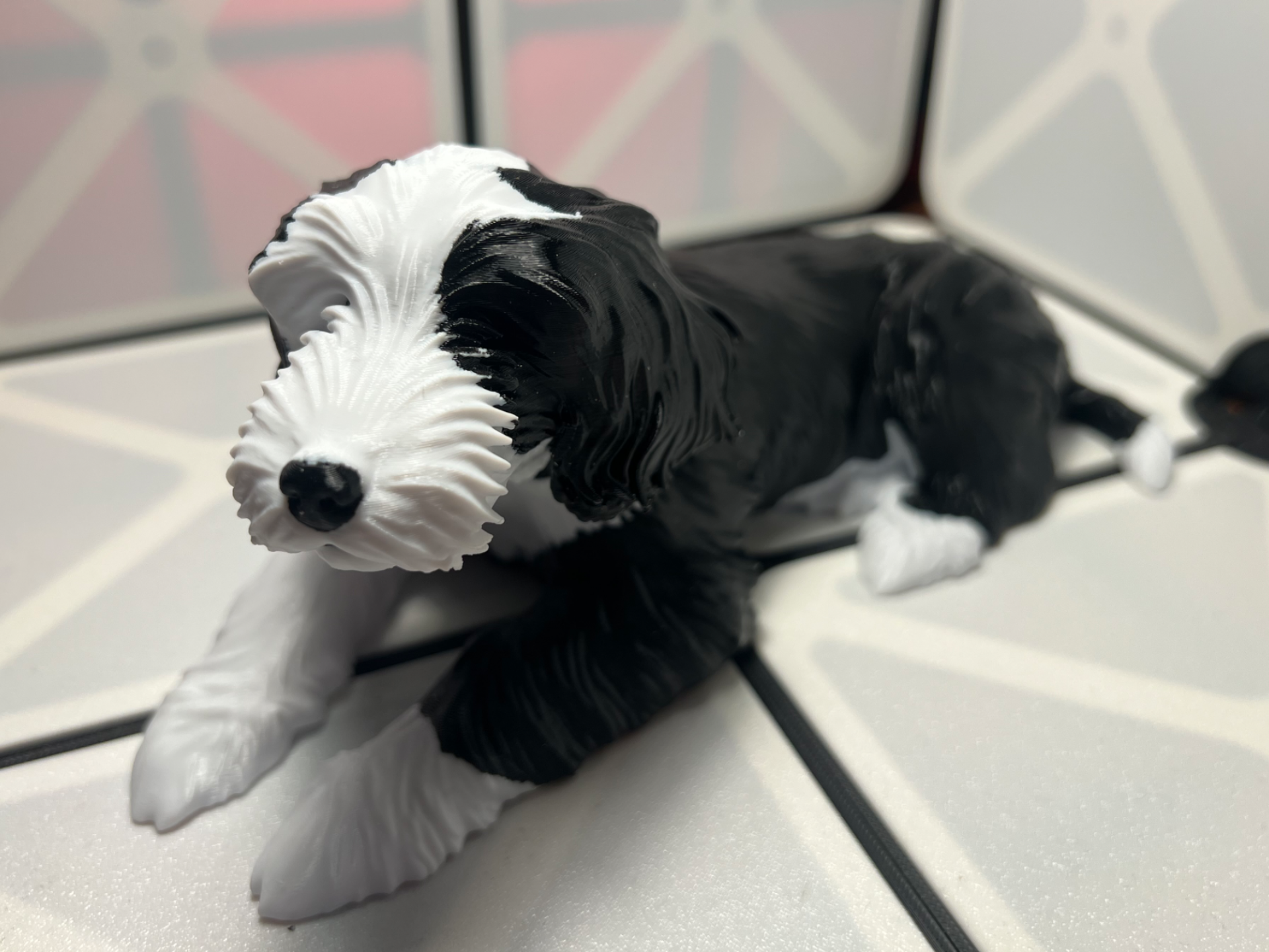 Bearded Collie