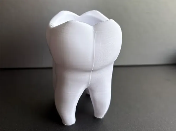 Molar Tooth Pen Holder