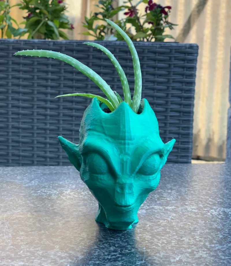 Alien Head Succulent Flower Pot