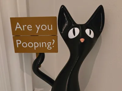 Curious Cat Figure