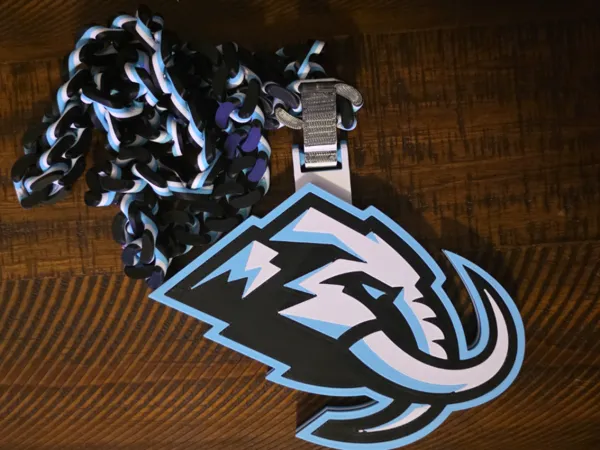 https://makerworld.bblmw.com/makerworld/model/USf19f3c77ee368b/design/6bc1259f7cb665cb.jpg