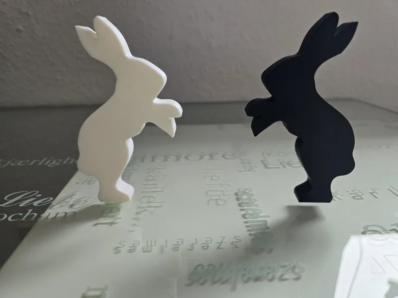 Hase
