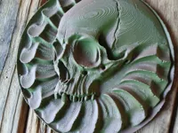 Bas-relief crâne alien — photo 1