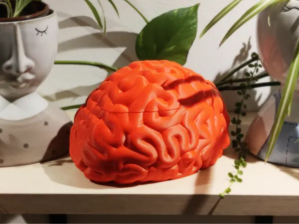 https://makerworld.bblmw.com/makerworld/model/USf1aa9934ea0f1c/design/2024-08-24_de22f0b5f0a46.png