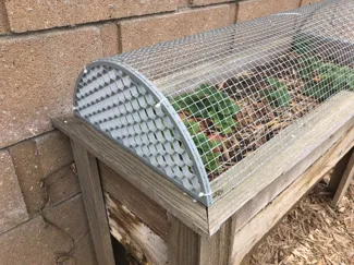 Plant cage ends