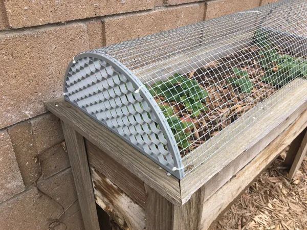Embouts de cage à plantes