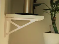 Pet-g